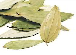 Tej Pan (Bay Leaf) 50g